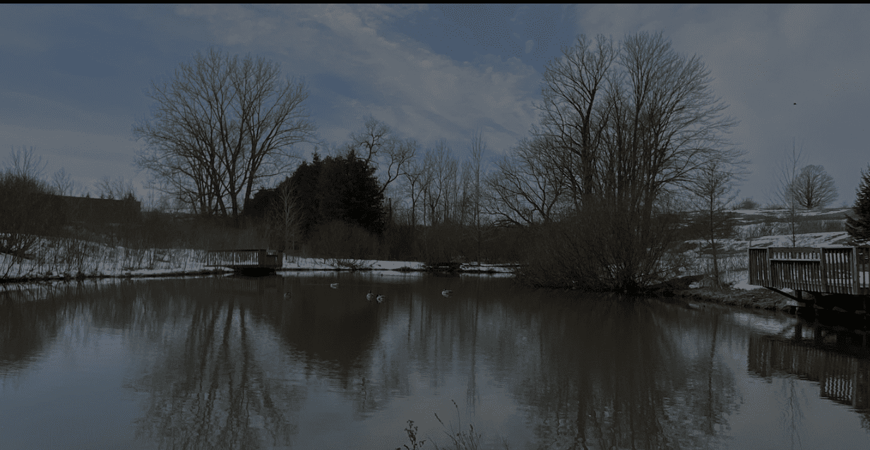 LANTERN-LIT HIKE AT KIDS CREEK PARK