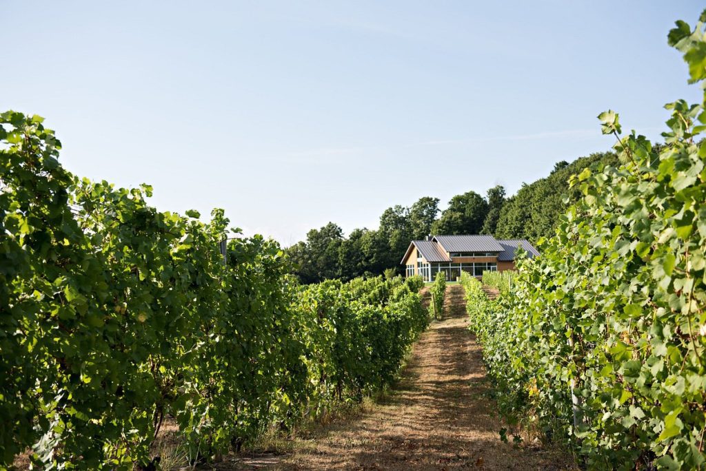 Traverse City Wineries