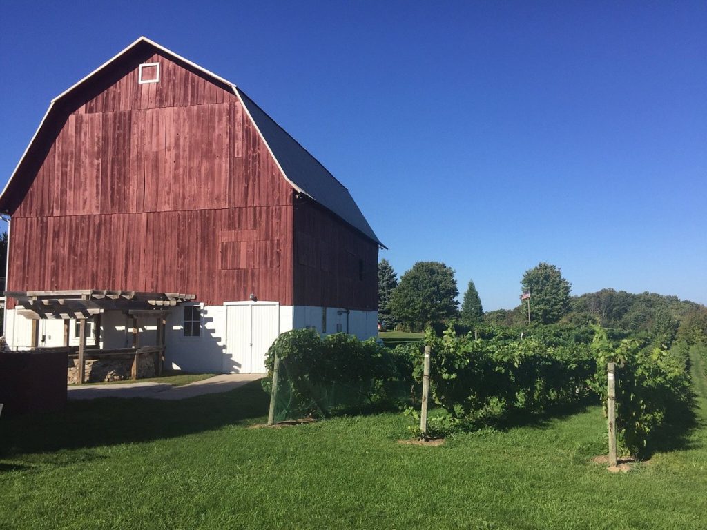 Traverse City Wineries