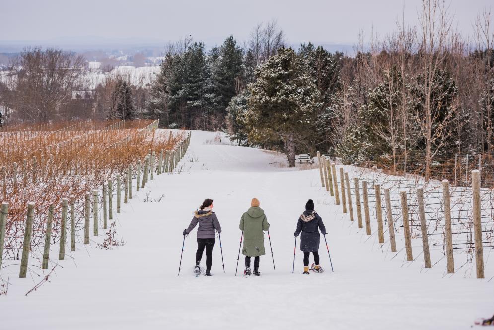 things to do in winter in traverse city mi