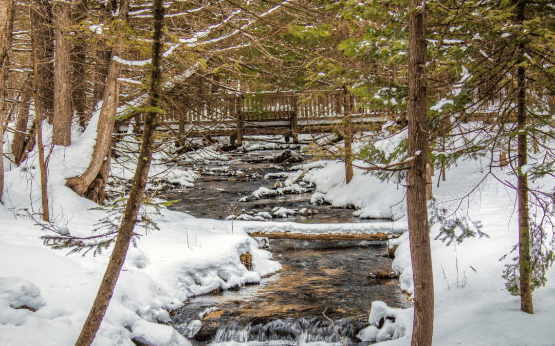 Winter Wonderland: 7 Top Things to Do in Traverse City MI for Couples