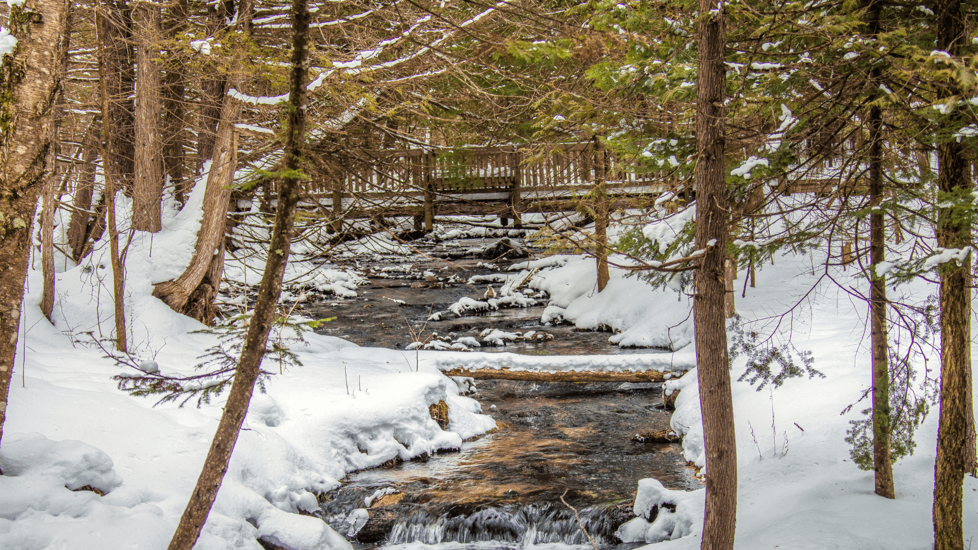 Winter Traverse City MI