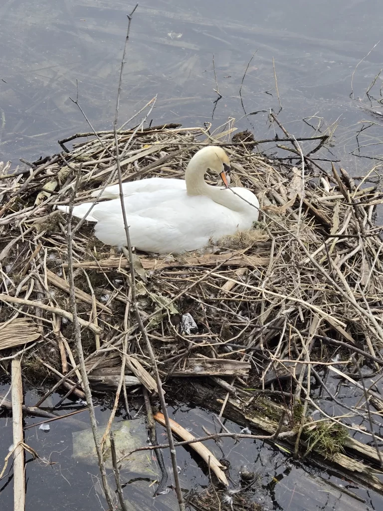 nature day hikes - traverse city 